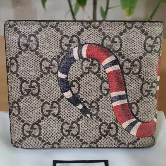 [BUNJANG] Gucci Snake Coin Wallet / 구찌 스네이크 코인 지갑/반지갑 새상품급 정품(감정O)