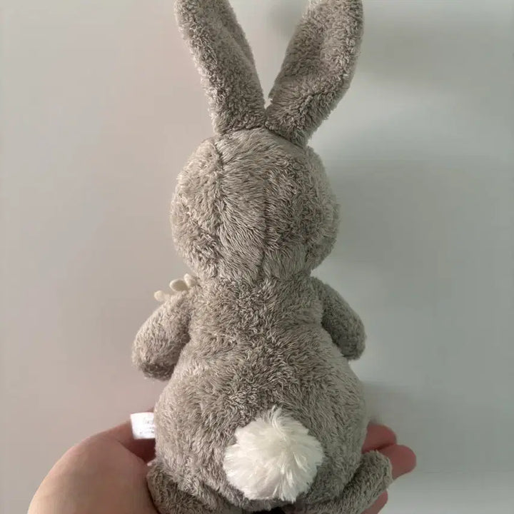 [BUNJANG] Wallace &amp; Gromit Grey Flower Rabbit Plush / 월레스와 그로밋 회색꽃토끼