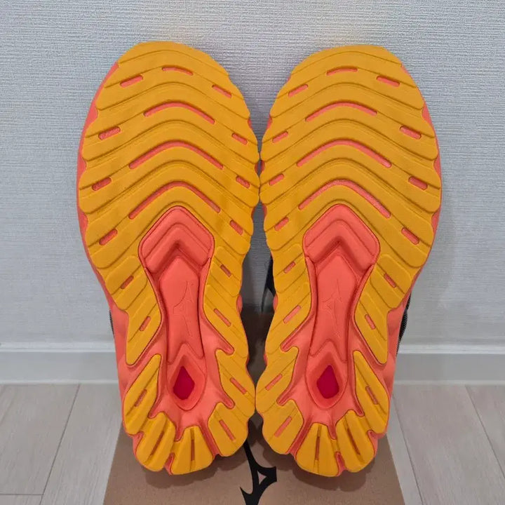 [BUNJANG] Mizuno Wave Skyrise 5 Running Shoes (275mm) / [새제품] 미즈노 웨이브 스카이라이즈 5 275mm