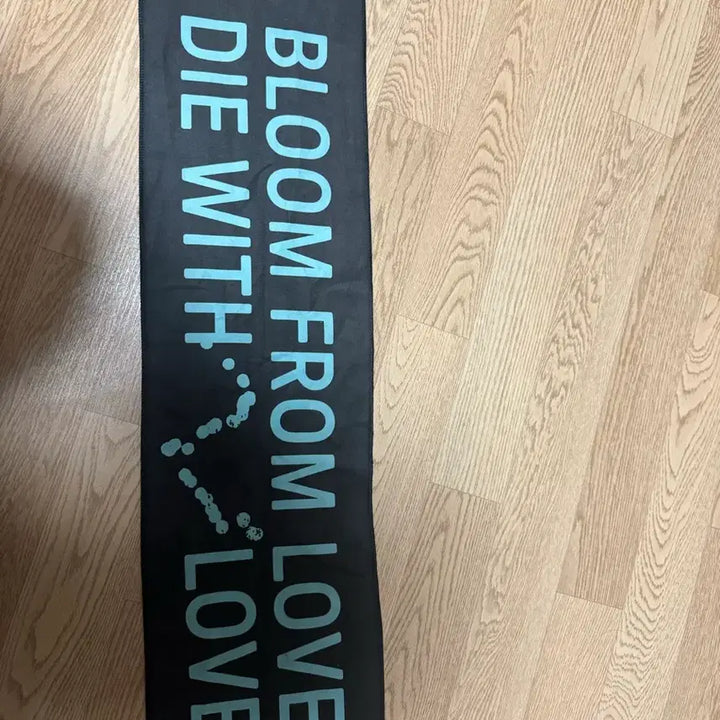 [BUNJANG] Hanroreo Bareua Concert Slogan / 한로로 발아 콘서트 슬로건 판매합니다