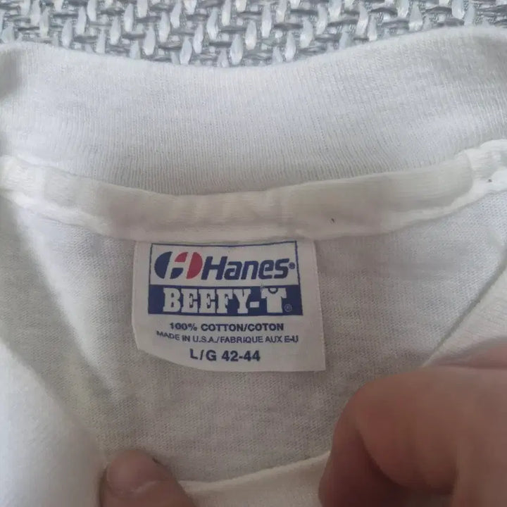 [BUNJANG] 90s Hanes Graphic Single Stitch T-Shirt (L) / 90s Hanes 그래픽 싱글스티치 티셔츠 (L)