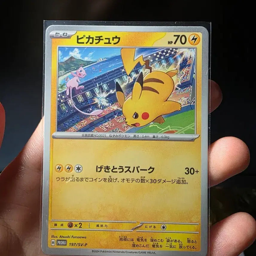 [BUNJANG] Pokemon Pikachu Gym Promo Card Set (Japanese) / [일판] 포켓몬 카드 피카츄 짐 프로모 (세트, 싱글카드)