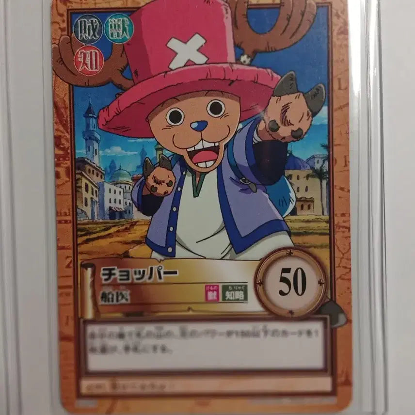 [BUNJANG] Japan One Piece Hyper Battle Classic Card Set - 5 Normal Cards / (희소) 재팬 원피스 하이퍼 고전카드 노멀 5장
