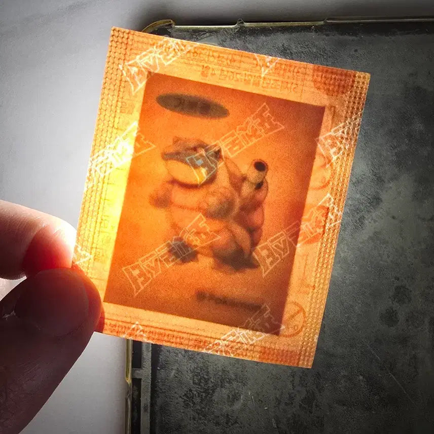 [BUNJANG] Pokemon 30th Anniversary Blastoise Sticker / 포켓몬스터 30주년 거북왕 띠부씰 판매합니다