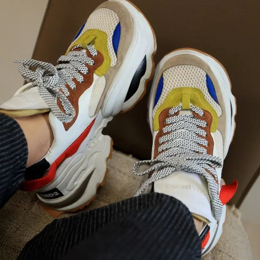[BUNJANG] DSQUARED2 6cm Height Increasing Sneakers / 묵직하게 올려주는 6cm 디스퀘어드2  40