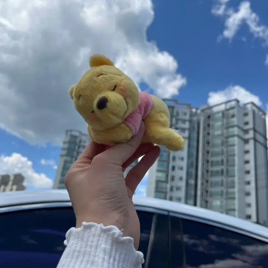 [BUNJANG] Disney Winnie the Pooh Plush Toy / 디즈니 곰돌이 푸 인형 봉제인형