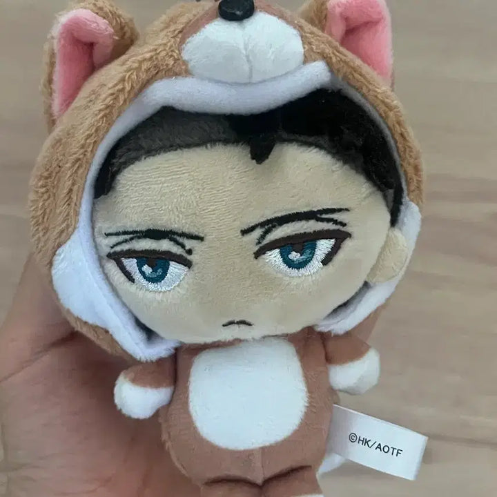[BUNJANG] Lipmoongy / 립뭉이 양도