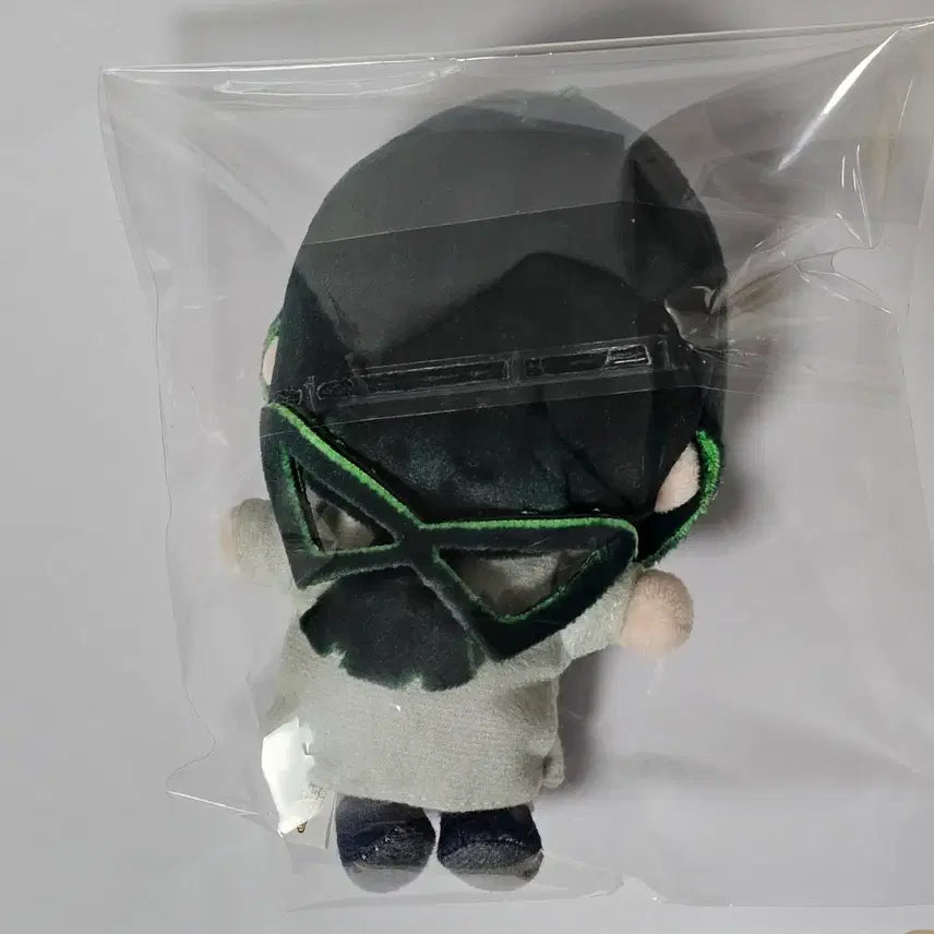[BUNJANG] Tsuyu Asui "Minyu" Plush Doll / 아스이 츠유 무뉴구루미 누이 인형 히로아카 나히아