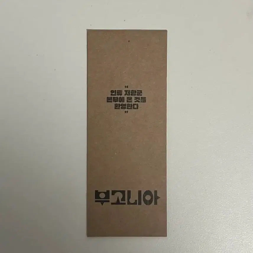 [BUNJANG] Bugonia Film Strip / 부고니아 필름 스트립
