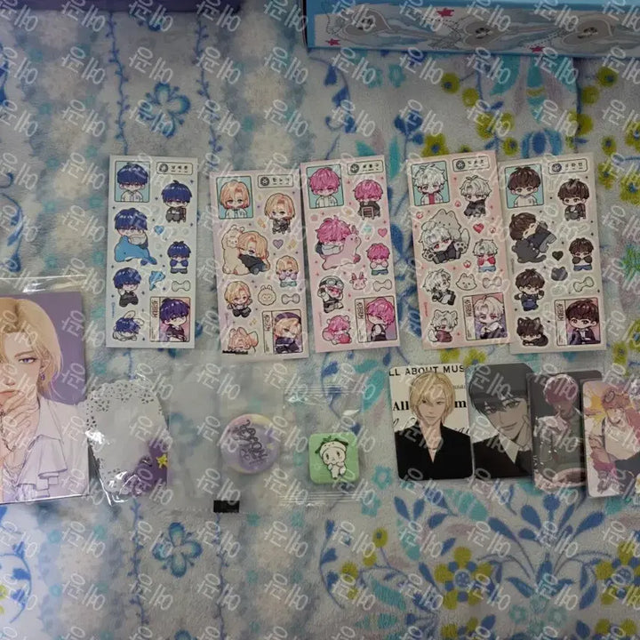 [BUNJANG] PLAVE 2025 Season&