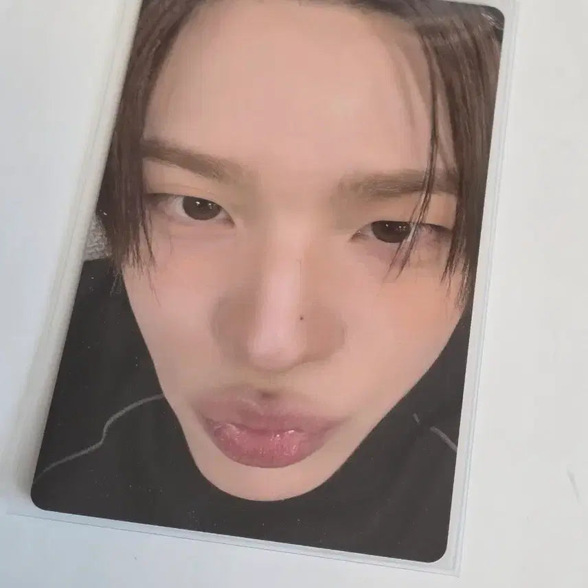 [BUNJANG] TWS Showcase Live POB Close-up Photocard Shin Yu / 투어스 쇼케이스 라이브 특전 얼빡 포카 신유