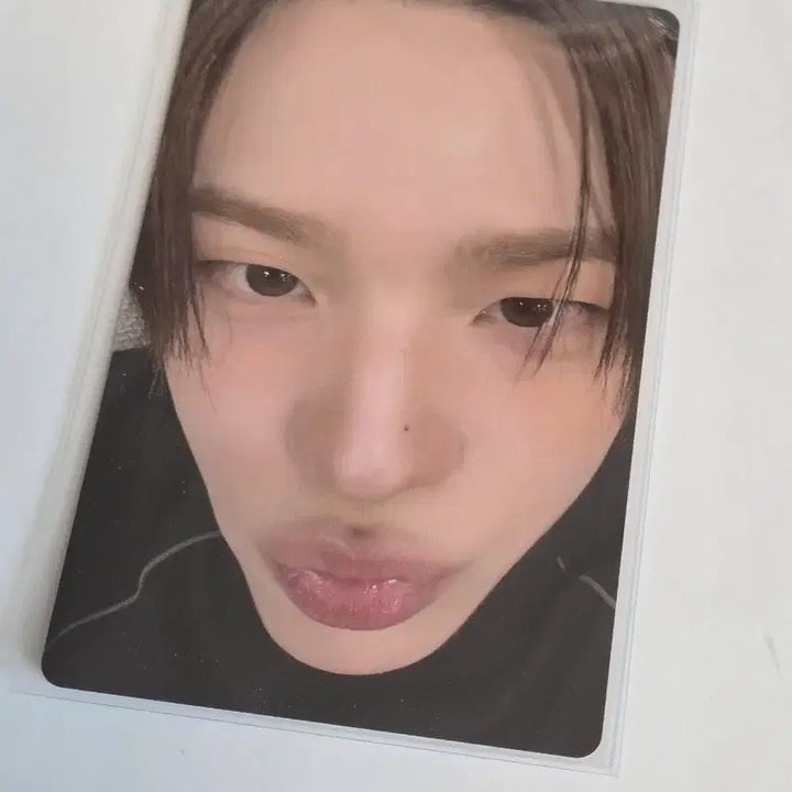[BUNJANG] TWS Showcase Live POB Close-up Photocard Shin Yu / 투어스 쇼케이스 라이브 특전 얼빡 포카 신유