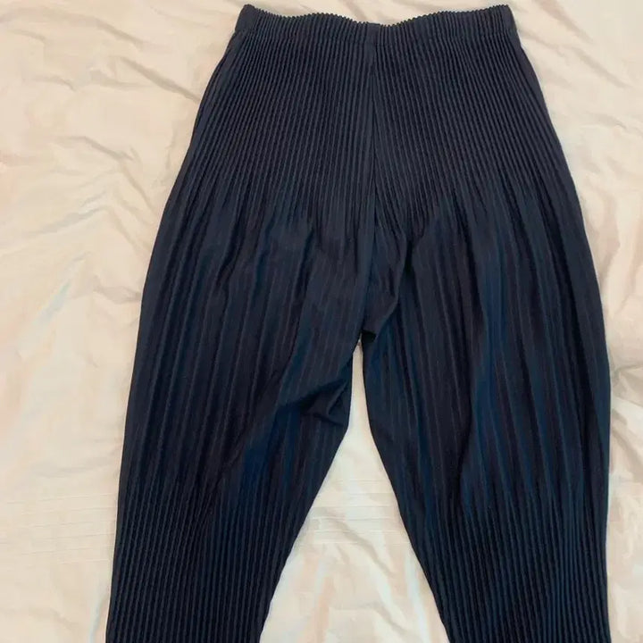 [BUNJANG] Homme Plissé Issey Miyake Basic JF453 Trousers Navy Size 3 / 옴므플리세 베이직 jf453 3 네이비