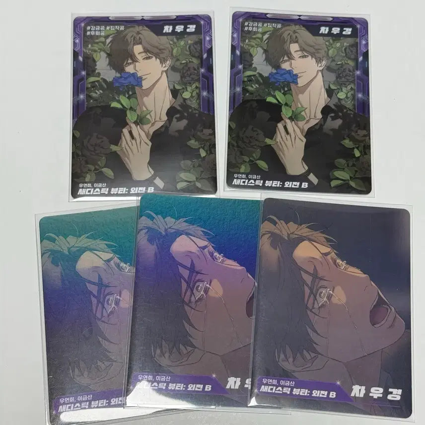 [BUNJANG] Sadistic Beauty Side Story Photocard Set / 봄툰공 새디스틱뷰티 외전 포카세트 양도