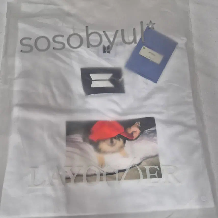 [BUNJANG] BTS V Layover T-Shirt (Sealed) / (미개봉)BTS V 뷔 layover 레이오버 티셔츠_M
