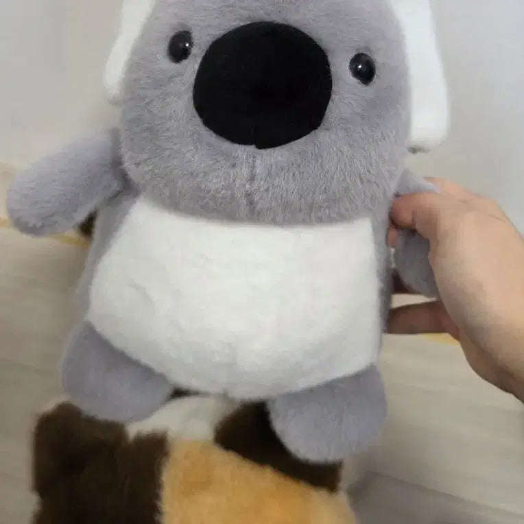 [BUNJANG] Jjang Arcade Stuffed Animals Bundle (Koala, Cat) / 짱오락실 인형 코알라,고양이 일괄