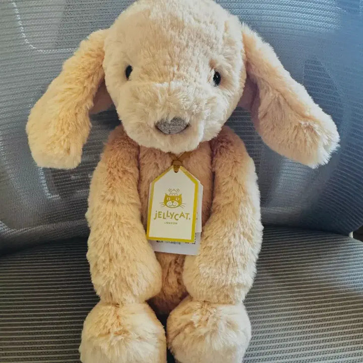 [BUNJANG] Jellycat Bashful Luxe Puppy Orlando Plush Toy / jellycat 바쉬풀 럭스 퍼피 올랜도 젤리캣 정품