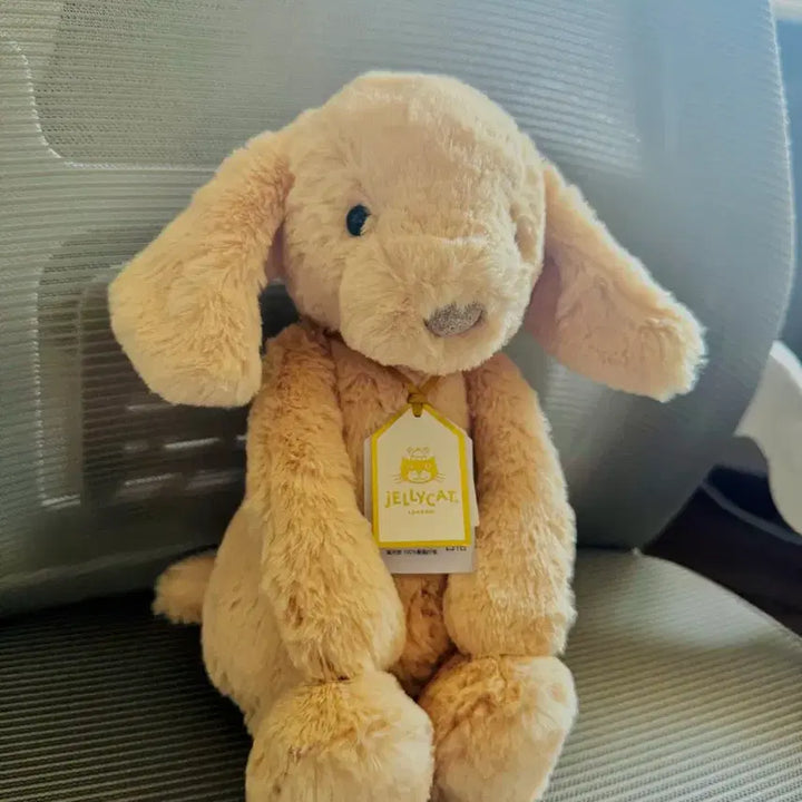 [BUNJANG] Jellycat Bashful Luxe Puppy Orlando Plush Toy / jellycat 바쉬풀 럭스 퍼피 올랜도 젤리캣 정품