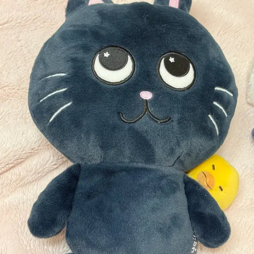 [BUNJANG] RIIZE Wonbin Tonnyangdeok 40cm Plush / 라이즈 원빈 토냥덕 40cm
