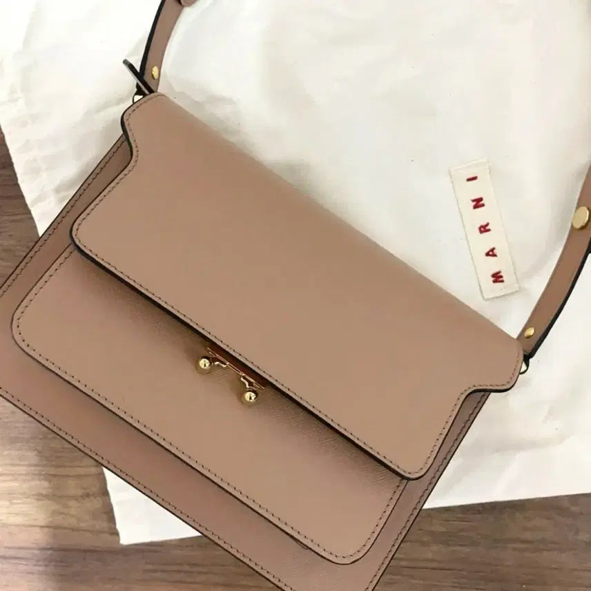 [BUNJANG] Marni Trunk Bag Medium / 마르니 트렁크백 미듐