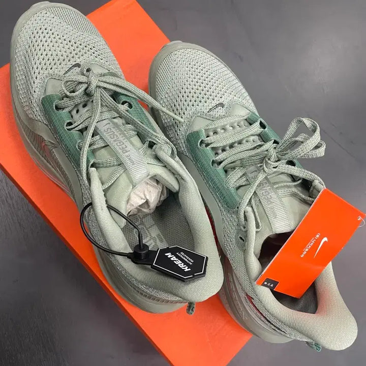[BUNJANG] Nike Pegasus Premium Running Shoes 260 / 나이키 페가수스 프리미엄 260