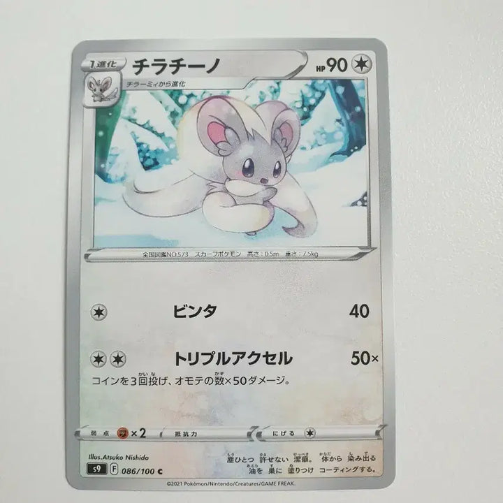 [BUNJANG] Chirachino Pokémon Card Japanese Version / 일판/치라치노 포켓몬카드