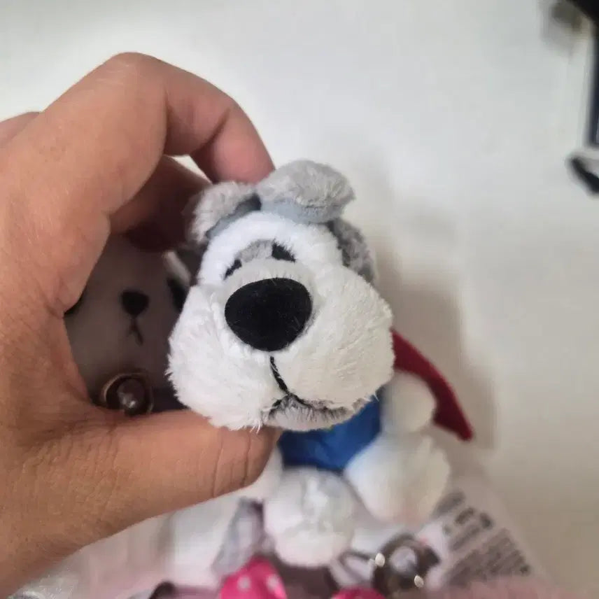[BUNJANG] Plushie Charm Set / 인형 키링 저렴하게 데려가세요 :)