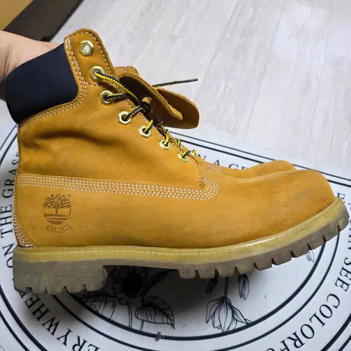 [BUNJANG] Timberland 6-Inch Waterproof Premium 45th Anniversary Boots / [260~265]팀버랜드 6인치 워터프루프 프리미엄 45주년 부츠