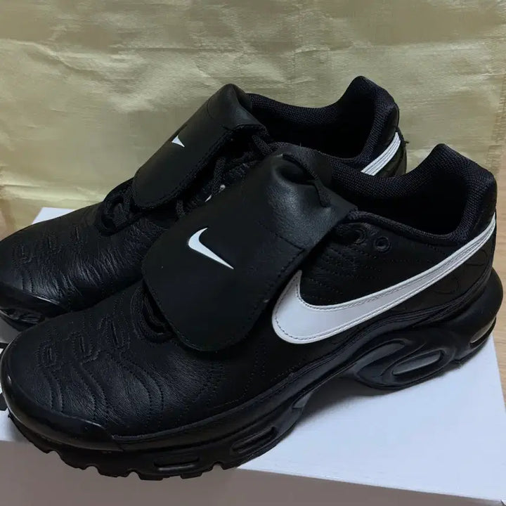 [BUNJANG] Nike Air Max Plus TNPO &