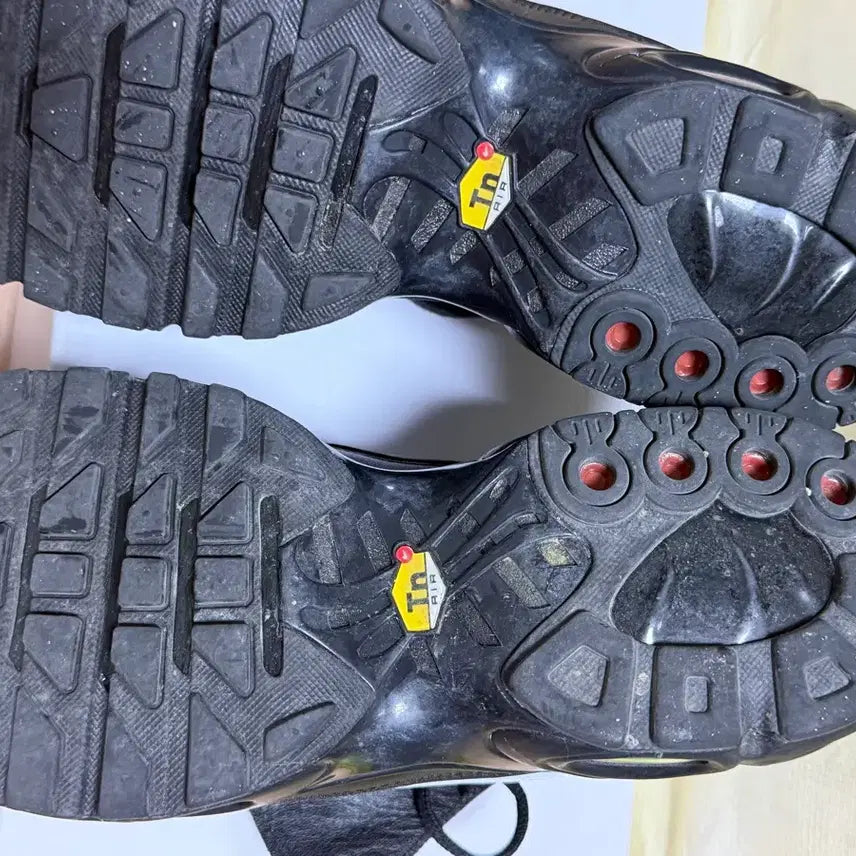 [BUNJANG] Nike Air Max Plus TNPO &