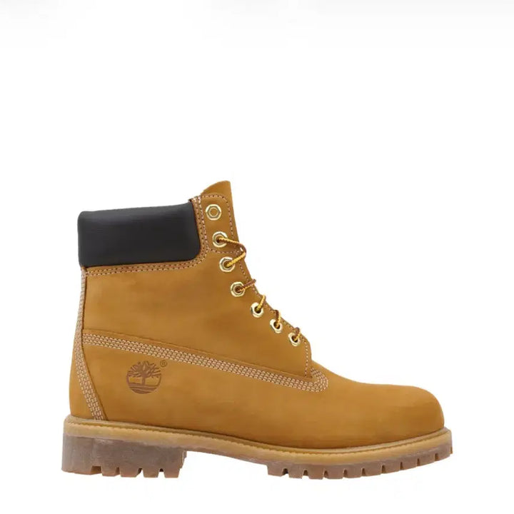 [BUNJANG] Timberland 6-Inch Premium Boots Wheat 275 / 팀버랜드 6인치 프리미엄 부츠 된장 275