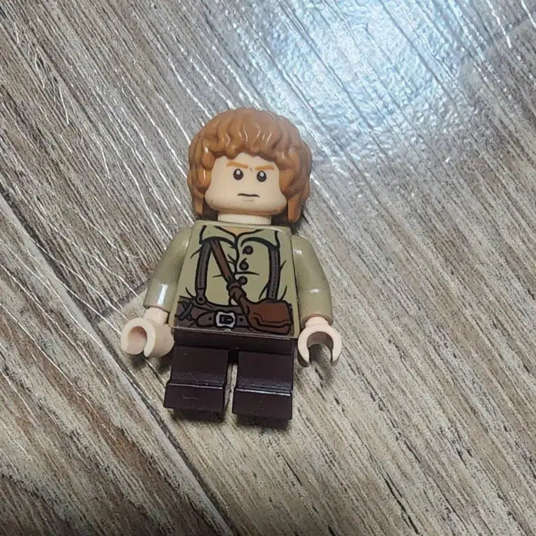 [BUNJANG] Lego The Lord of the Rings Sam Figurine / 레고 반지의제왕 샘 판매합니다
