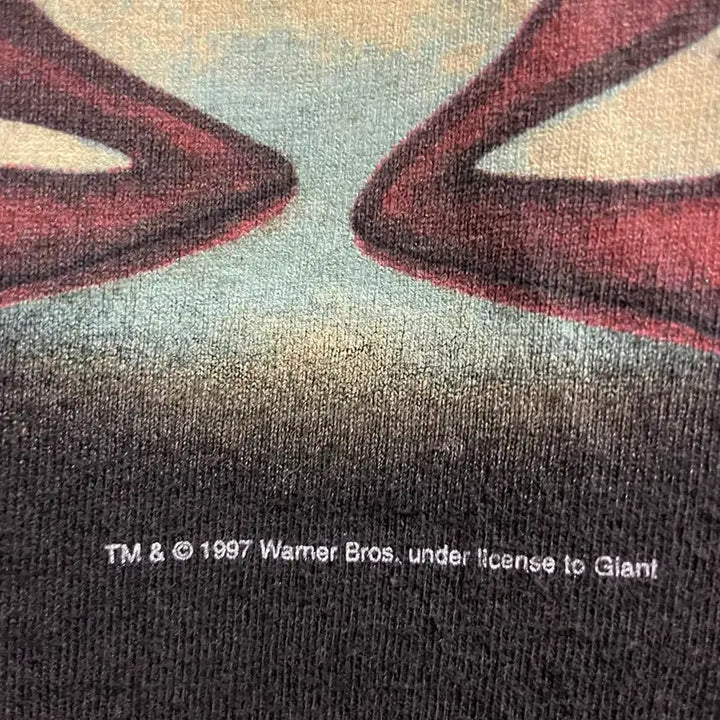 [BUNJANG] 90s Warner Bros. Vintage Washed T-Shirt / 90s 워너브라더스 반팔티