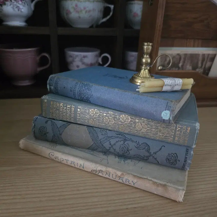 [BUNJANG] Vintage Antique Book Set (4 Volumes) / 빈티지 앤틱 책 서적 4권 세트가격