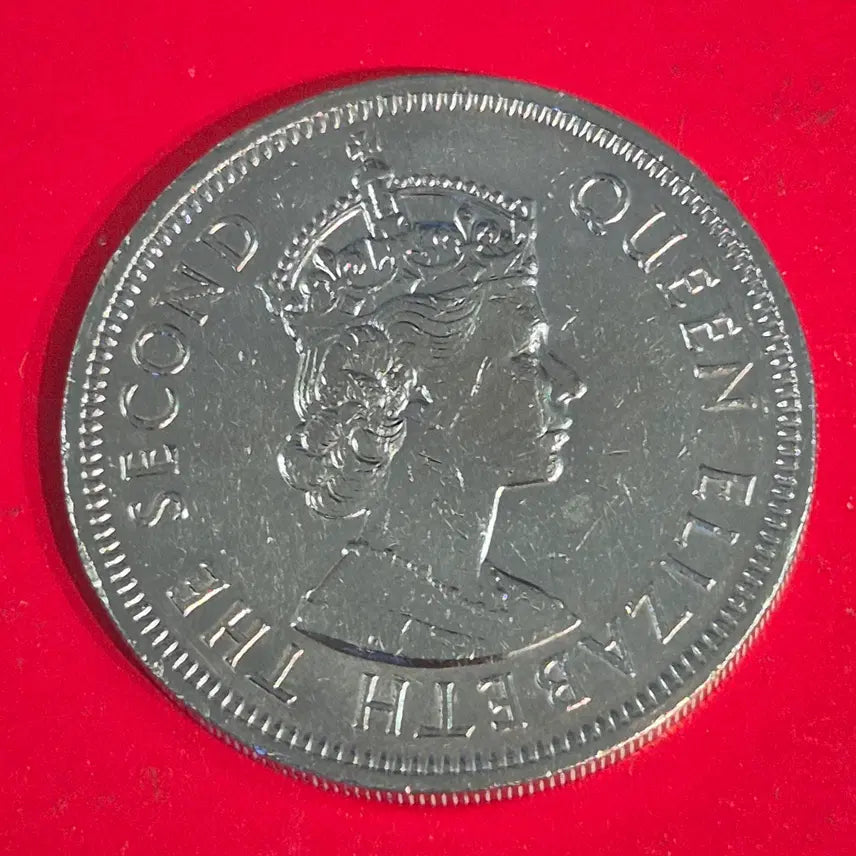 [BUNJANG] 1972 Hong Kong 1 Dollar Large Coin / (대형 동전) 1972 홍콩 1달러 동전 M2431