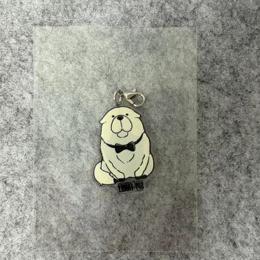 [BUNJANG] SPY x FAMILY Bond Acrylic Keychain / 스파이 패밀리 본드 아크릴 키링