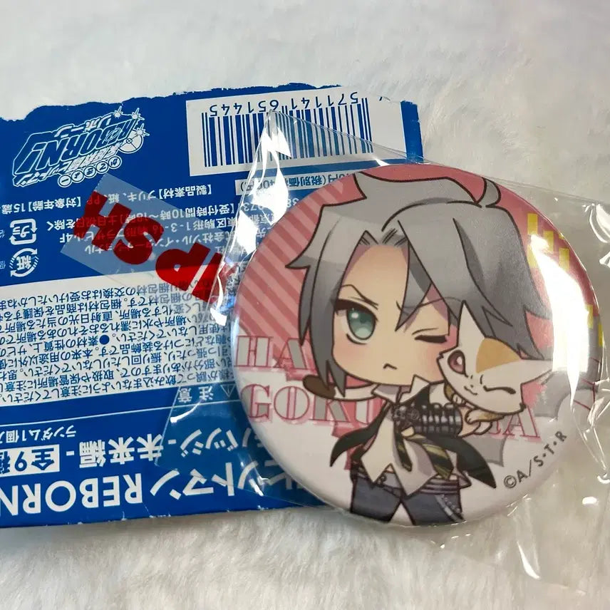 [BUNJANG] Katekyo Hitman Reborn Gokudera Can Badge / 가정교사히트맨리본 캔벳지 고쿠데라