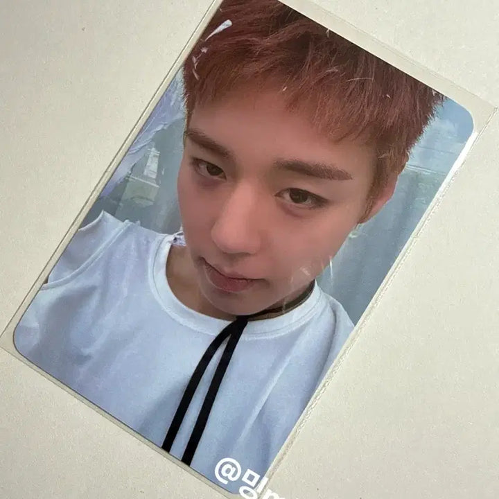 [BUNJANG] Park Ji Hoon Fanclub Photocard / 박지훈 플브 포카 판매