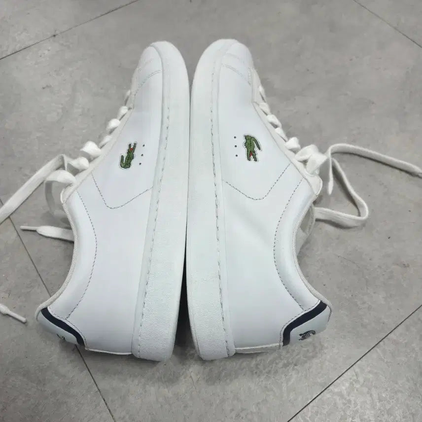 [BUNJANG] Lacoste Carnaby Evo Sneakers (270mm) / 라코스테 카나비 에보 스니커즈 9,5(270