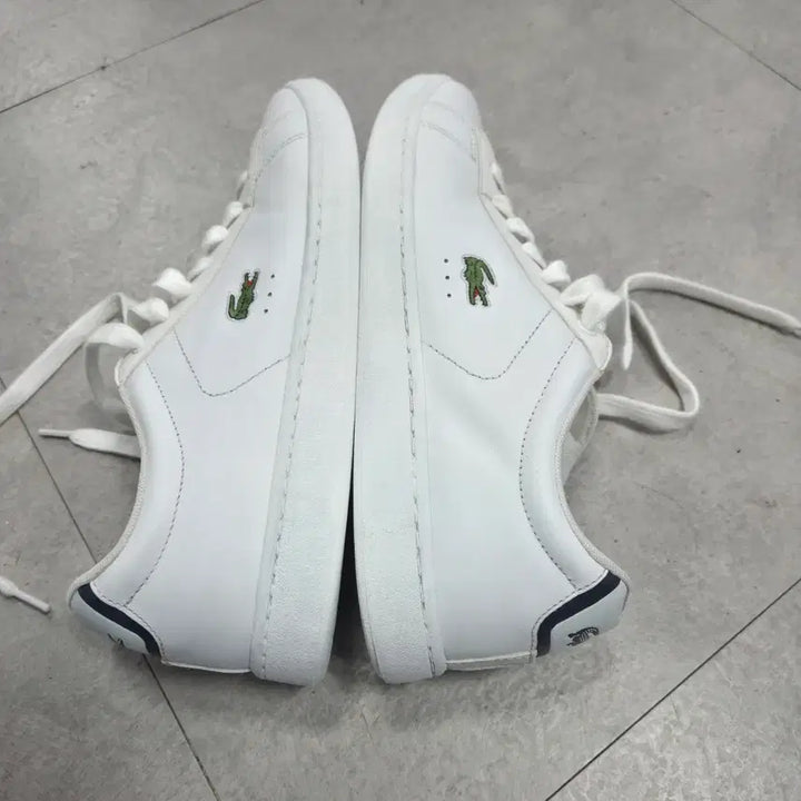 [BUNJANG] Lacoste Carnaby Evo Sneakers (270mm) / 라코스테 카나비 에보 스니커즈 9,5(270