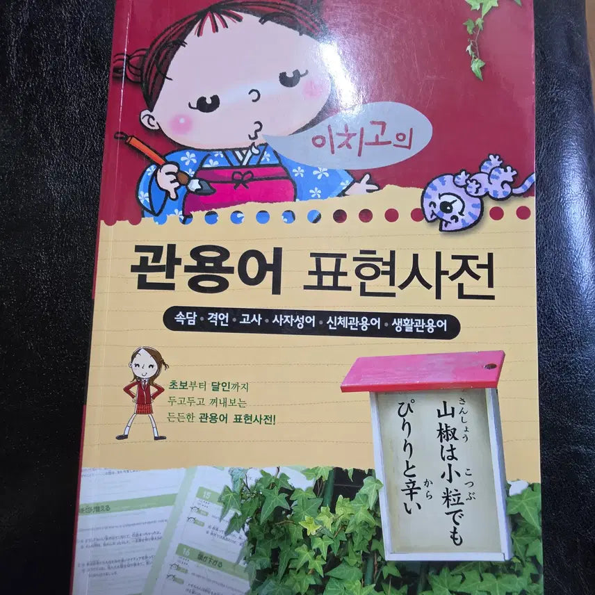 [BUNJANG] Japanese JPT N1, N2 and Advanced Books Bundle (30 Volumes + 2 Dictionaries) / 일본어 JPT N2,N1 및 상급도서 다수 30권