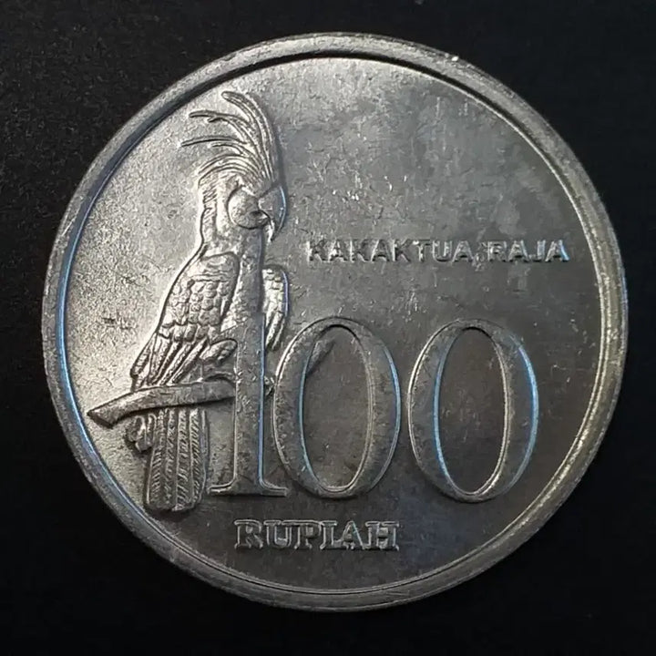 [BUNJANG] 1999 Indonesia 100 Rupiah Coin / 1999년 인도네시아 100 루피아 주화 w935
