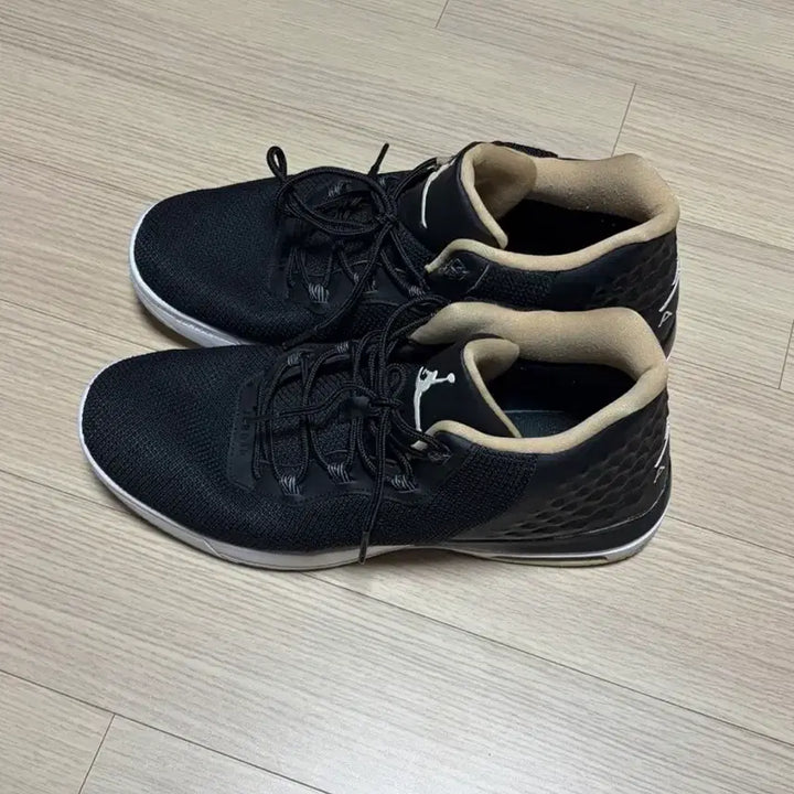 [BUNJANG] Nike Air Jordan Basketball Shoes / 조던 농구화