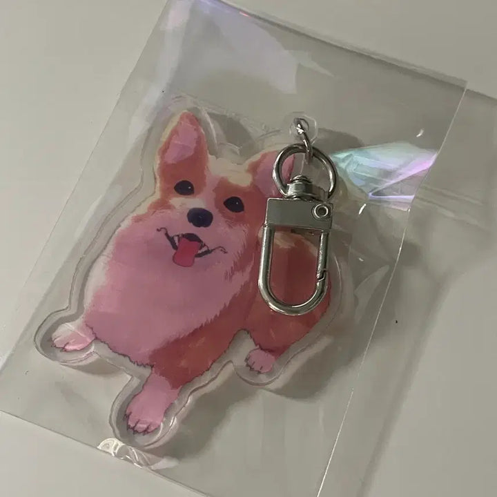 [BUNJANG] Yorushika Official Collaboration Cafe Kopi Keyring / 요루시카 공식 콜라보 카페 코기 키링