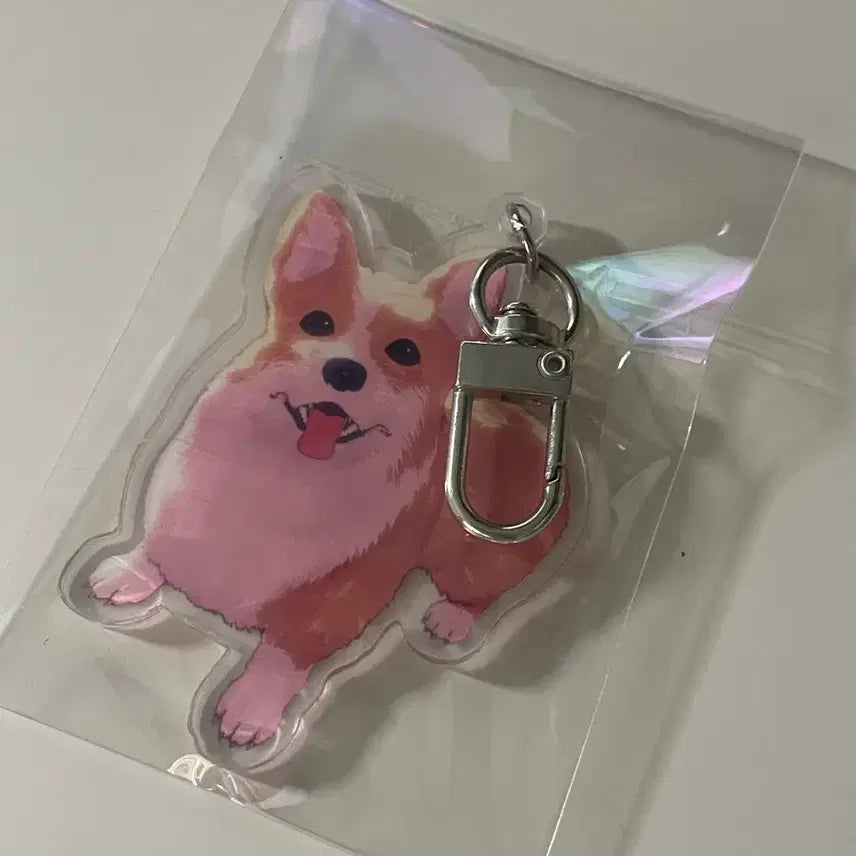 [BUNJANG] Yorushika Official Collaboration Cafe Kopi Keyring / 요루시카 공식 콜라보 카페 코기 키링