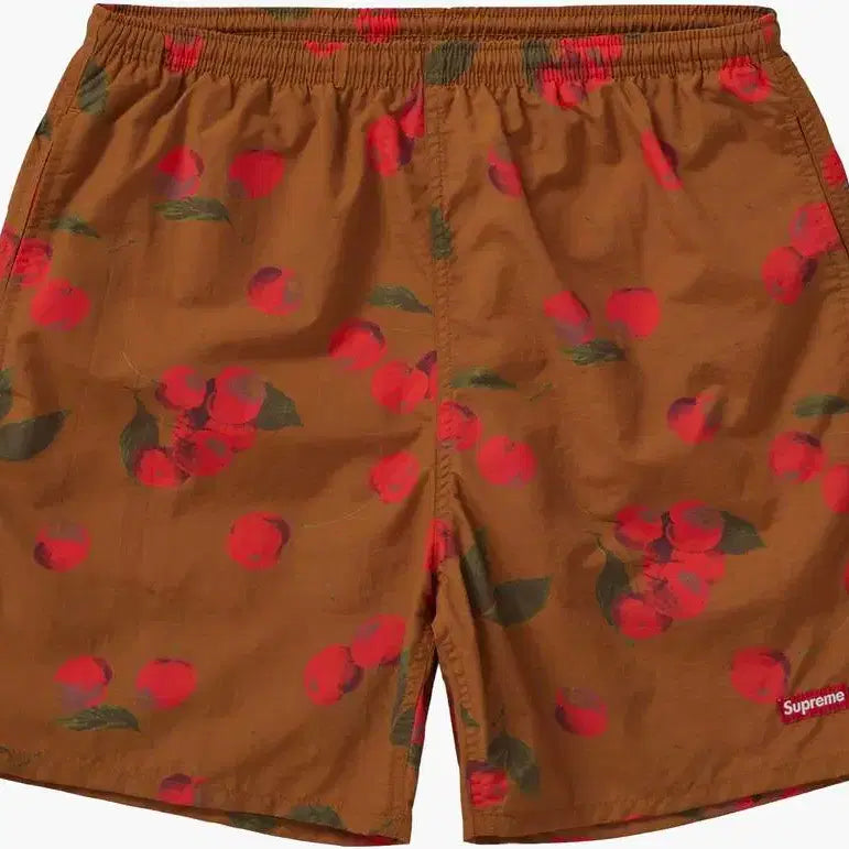 [BUNJANG] Supreme Nylon Water Shorts Brown 19SS / [S] 슈프림 나일론 워터 쇼츠 브라운 19SS