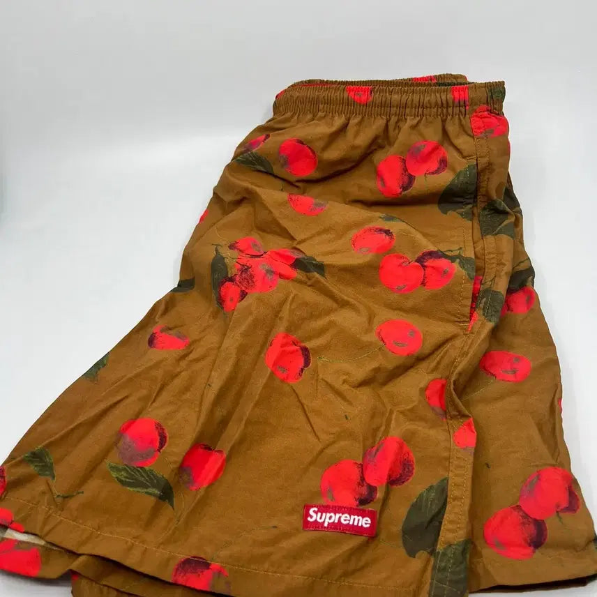 [BUNJANG] Supreme Nylon Water Shorts Brown 19SS / [S] 슈프림 나일론 워터 쇼츠 브라운 19SS