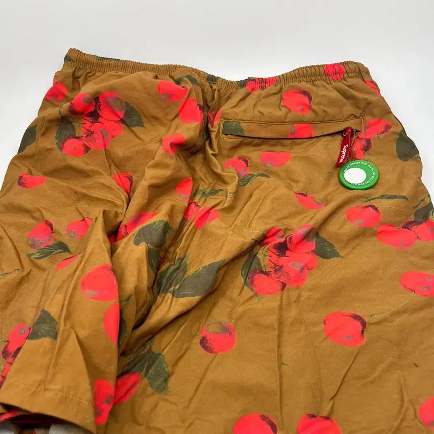 [BUNJANG] Supreme Nylon Water Shorts Brown 19SS / [S] 슈프림 나일론 워터 쇼츠 브라운 19SS