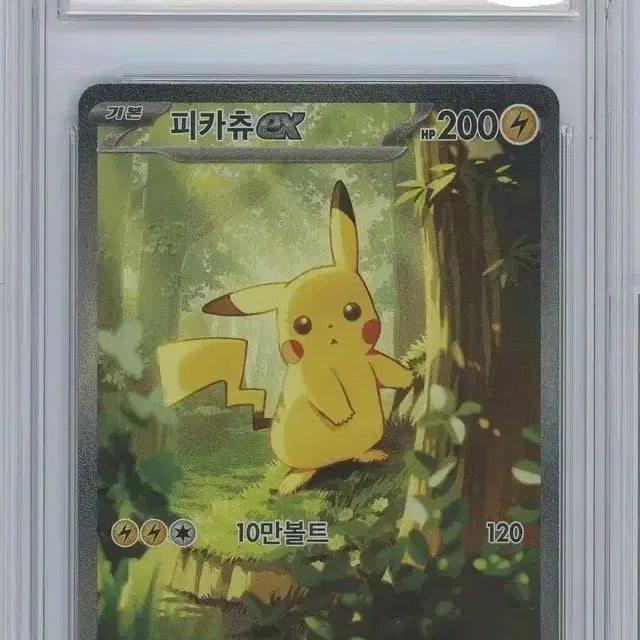 [BUNJANG] Pokemon Card Pikachu EX BRG Grade 9 / [판매중] 포켓몬 카드 100덱 피카츄 EX BRG 9