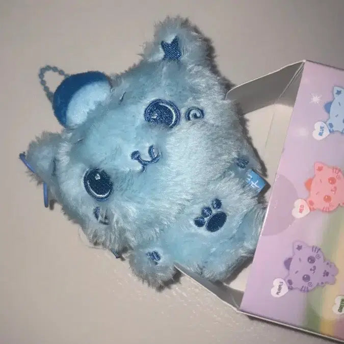 [BUNJANG] Wishdoll Wishbebe Color Kuri Riku Doll / 위시돌 위부부 컬러 쿠리 리쿠